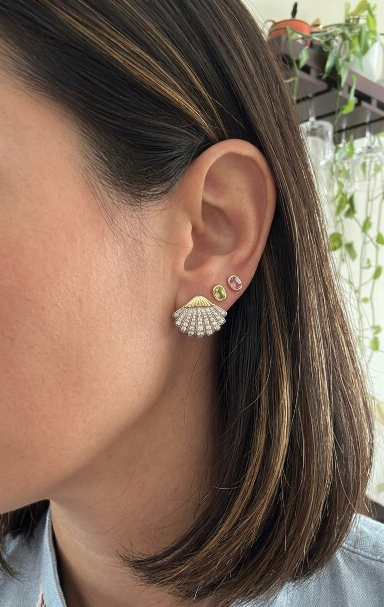 Two tone shells