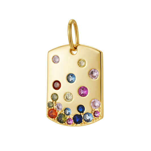 Colorful dog tag